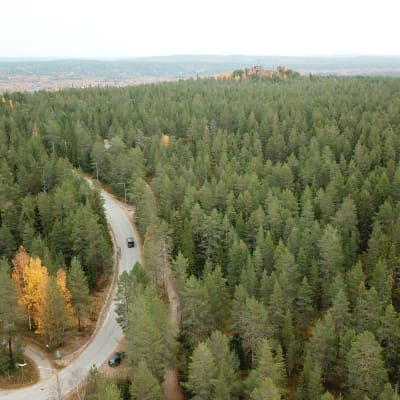 Ilmakuva Ounasvaaralta, alla näkyy metsää ja tie, jolla ajaa auto.