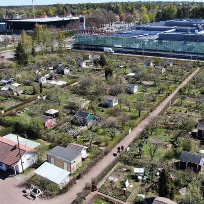 Flygbild av Citymarket i Kuppis, med gröna träd i koloniträdgården framför.