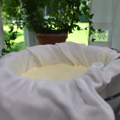 Hemlagad yoghurt rinner av i sil med silduk.