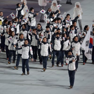 Sydkorea marscherade ensamt ännu vid OS i Sotji 2014.