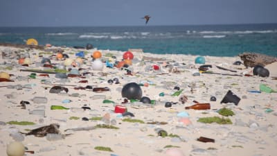 Skräp på en strand