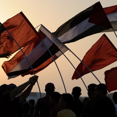 Protesters wave the flags of the Arab Spring countries, along the Bahraini flag (R), during a rally in Aali village south of the Bahraini capital Manama 18 November 2011.