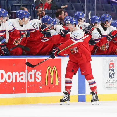 Tjeckien firar ett mål i JVM-kvartsfinalen mot Finland.