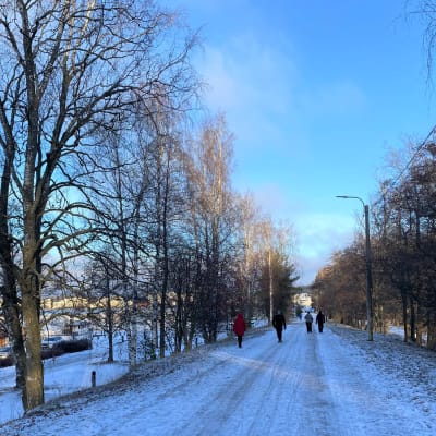 Puiden ympäröimä katu Lahdessa Vesijärven rannassa. Ihmisiä kävelylenkillä kadulla, lunta vähän maassa, aurinko paistaa.