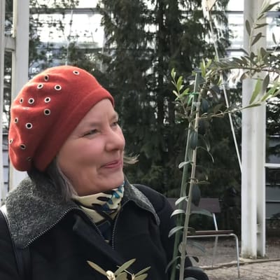 Nainen oliivipuun oksa sylissään