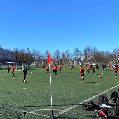 Oranssipaitaisia nuoria jalkapalloiljoita vihreällä jalkapallokentällä harjoittelemassa Lahdessa. 