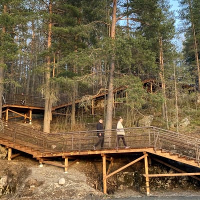 Puiset kuntoportaat nousevat rinnettä ylös metsään LAhdessa.