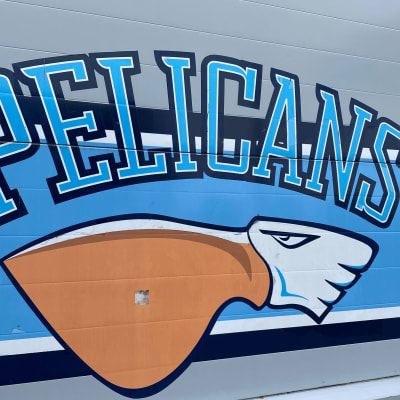 Lahden Pelicansin logo seinässä. Logossa iso pussinokkainen piirretty pelikaanihahmon pää.