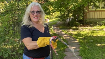 Britt-Marie Juup har fångat en huggorm med en ormfångargrip.
