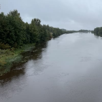 joki jossa paljon vettä