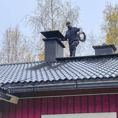 Nuohooja Kai Tähtinen työssään Kajaanin Jormualla 28.9.2022.