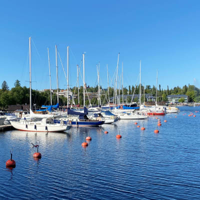 Purjeveneitä laituriin kinnitettyinä. 
