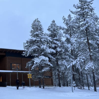 Sodankylän geofysiikan observatorion ruskea päärakennus Polaria. Edustalla luminen maa ja lumisia puita.