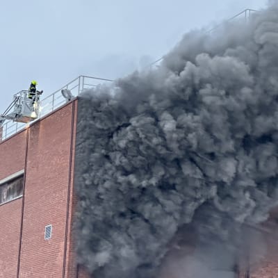 Tulipalo Nokian paperitehtaalla. Kuvassa punatiilisestä rakennuksesta nousee paljon paksua mustaa savua. Kuvauspäivä 29.11.2023.
