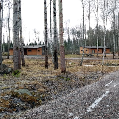 Wooddreamin lomamökkejä Taipalsaarella