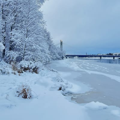 Laaja jokimaisemakuva Kemijoen rannasta.