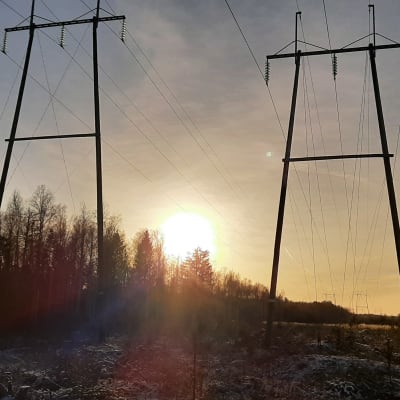 Kratledning i solnedgång.