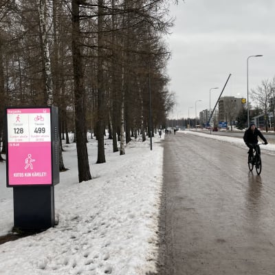 Pyöräilijä ajaa liukkaalla pyöräilybaanalla Oulun Karjasillalla. 