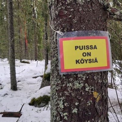 Skylt som uppger att det hänger rep mellan träden.