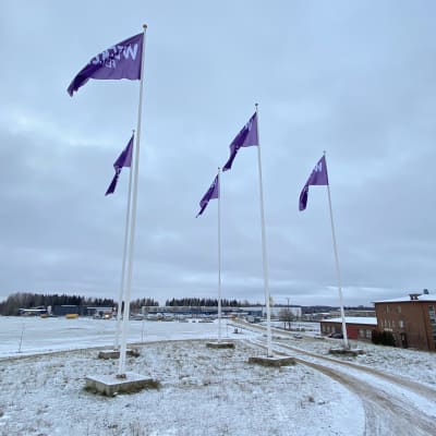 Kantolan tapahtumapuistossa Weekendin liput hulmuavat marraskuun tuulessa.