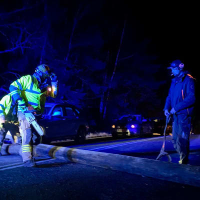 Räddningspersonal och en stock som fallit på en bil.