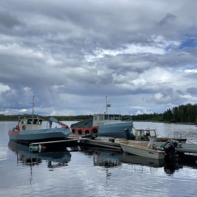 Oulujärvi - uusimmat sisällöt – 