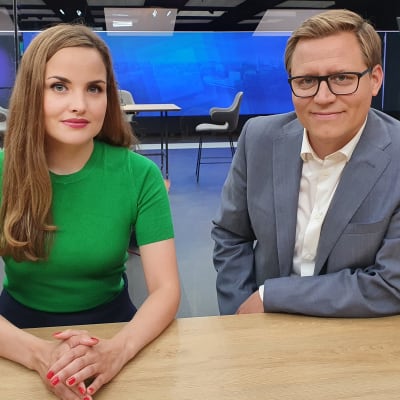 Ovatko hallituksen työllisyystavoitteet realistisia?