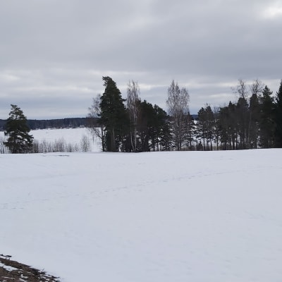 Snöigt landskap med frusen sjö i bakgrunden.