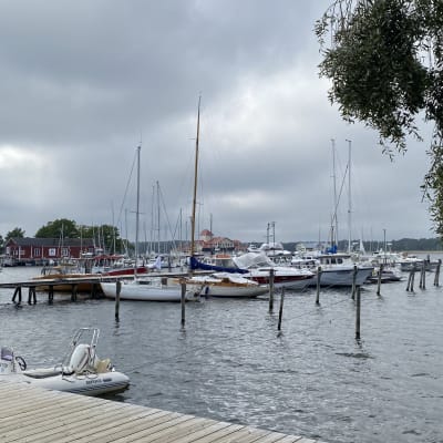 Båtar ligger förtöjda vid en brygga i en småbåtshamn.