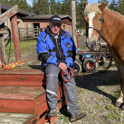 Kasvattajaomistaj Kauko Tuominen istuu vierellään suomenhevostamma Tähde Pirros.