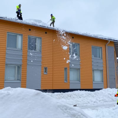 Två personer röjer ner snö från ett tak, en tredje står nere på marken.