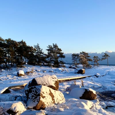Havsvy från Varlax.