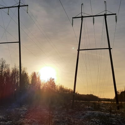 Kratledning i solnedgång.
