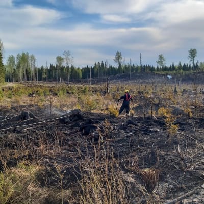 Brandman släcker en brand i terrängen