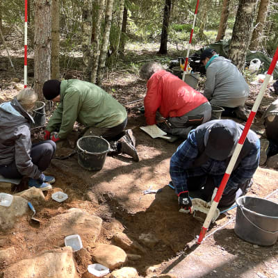 Yhdeksän vapaaehtoista kaivajaa polvillaan tai istuallaan arkeologisella kaivauspaikalla metsässä.