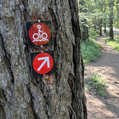 Röda små skyltar fastspikade på en trädstam. Skyltarna visar rutten för den nya terrängcykelleden i centralparken.