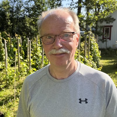 Harmaapaitainen mies viiniköynnösten edessä.