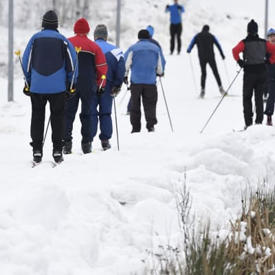 Hiihtäjiä Espoon Oittaalla 8. tammikuuta. Sittemmin lunta on tullut Oittaalle toistakymmentä senttiä lisää. 