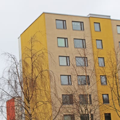Rönninge i Helsingfors i februari 2016