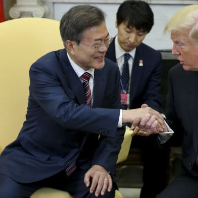Trump och Moon Jae-in träffades i Vita huset. 