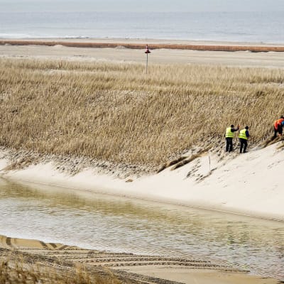 Utökad strandvall i Camperduin, Holland. 35 miljoner kubikmeter sand lades ut i mars för att förstärka kustlinjen i landet som är känsligt för översvämningar.