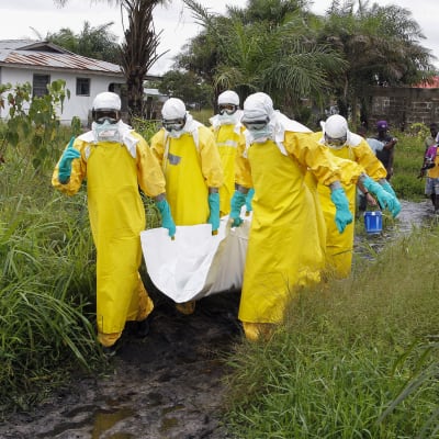 24 misstänkta fall av ebola har påträffats i Kongo-Kinshasa, 23 på landsbygden och ett fall i storstaden Mbandaka. Bilden är från Liberia år 2014
