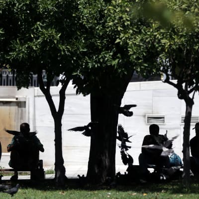 Människor sitter och svalkar sig under träd i centrala Aten den 1 juli 2017.