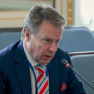 Ilkka Kanerva, Samlingspartist och ordförande i försvarsutskottet