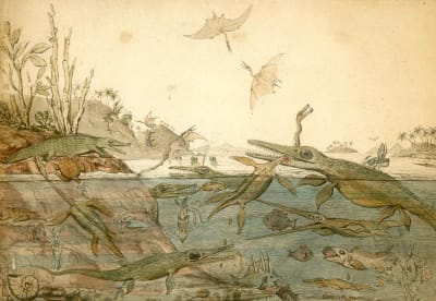 Målning föreställande djurlivet i havet under juraperioden.