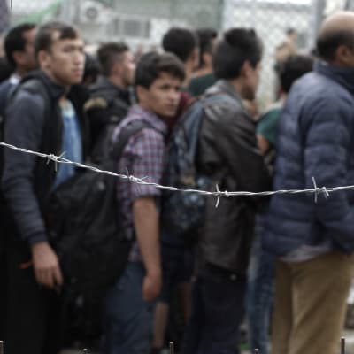 Asylsökande väntar på att bli registrerade på ön Lesbos i Grekland.