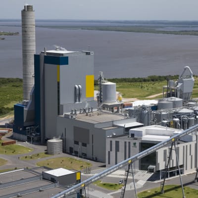 UPM:s cellululafabrik i Uruguay