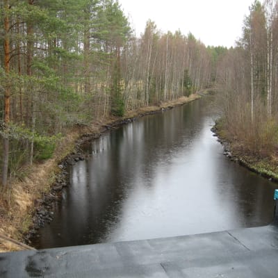 Vattenytan sjunker och Esse å nedanför Finnholm kraftverk blir allt smalare