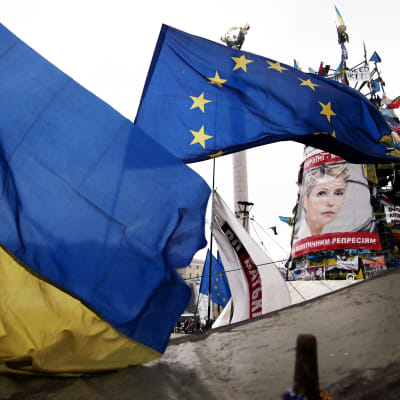 Ukrainan sinikeltainen lippu, jonka taustalla EU-lippu. Taustalla mielenosoitusleiri Kiovassa 2014 ja kuva Julija Tymoshenkosta.