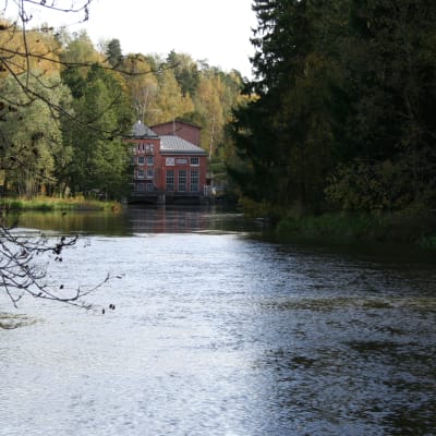 Svartån i Åminnefors